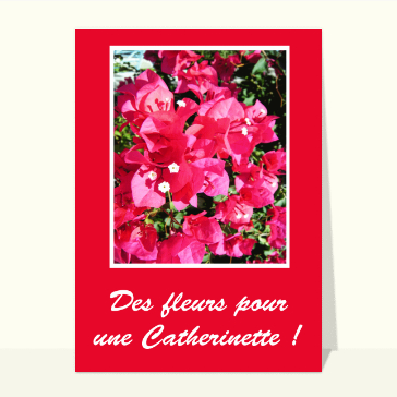 Carte sainte Catherine : Des fleurs pour une Catherinette