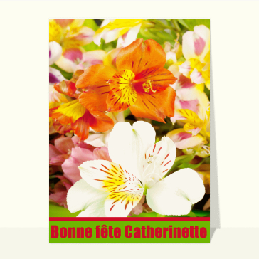 Sainte Catherine : Bonne fête catherinette