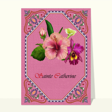 Sainte Catherine : Sainte Catherine sur un fond rose