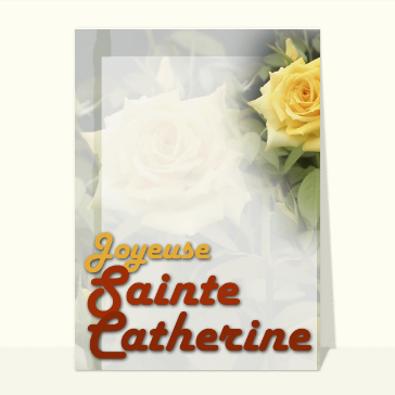 Rose jaune Sainte Catherine