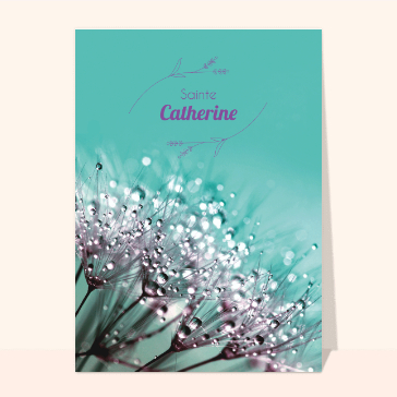 Gouttelettes pour la Sainte Catherine