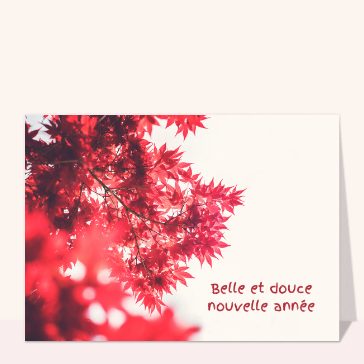 Belle et douce nouvelle année 2023 