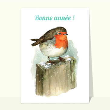 Carte Bonne année 2024 petit rouge-gorge