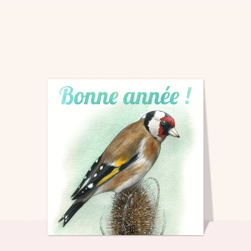 Carte Bonne année 2024 et chardonneret