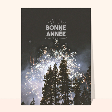 Feu d'artifice et arbres