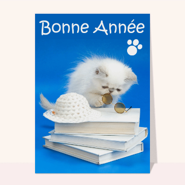 carte de voeux 2023 chat mignon : bonne année 2023 du chaton sur un livre