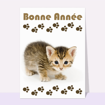 bonne année 2023 chaton espiègle