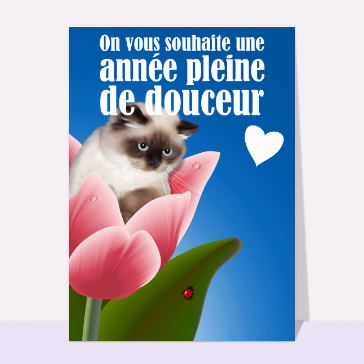 Une année pleine de douceur