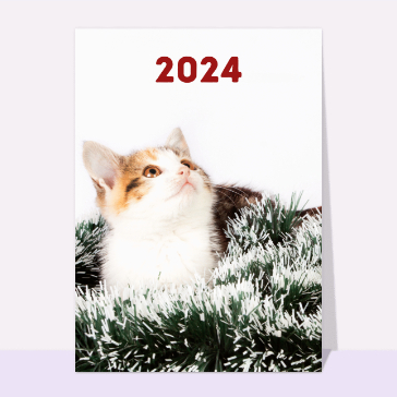 carte de voeux 2024 chat mignon : Chaton qui regarde la nouvelle année 2024 