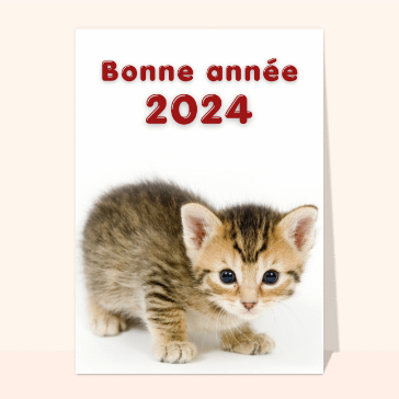 Le chaton bonne année 2024 