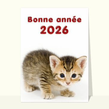 https://www.merci-facteur.com/cartes/r5-fetes-de-fin-d-annee/r6-cartes-de-voeux/c180-voeux-chat-mignon/3314-un-adorable-chaton-pour-heureux/prevu-3314-un-adorable-chaton-pour-heureux_small.jpeg