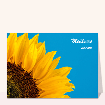 Meilleurs voeux tournesol