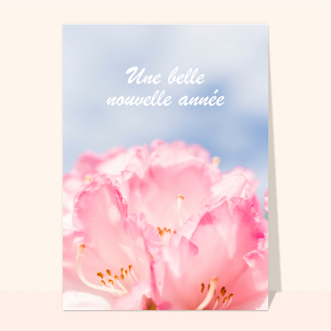 Belle nouvelle année 2024 rose