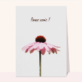 cartes de voeux 2024 avec des fleurs pour votre texte