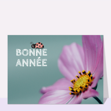 Bonne année 2024 petite coccinelle