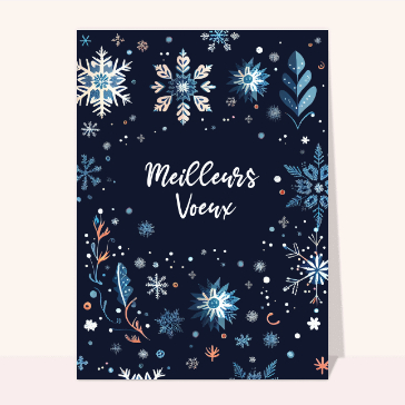 Meilleurs voeux au milieu des flocons