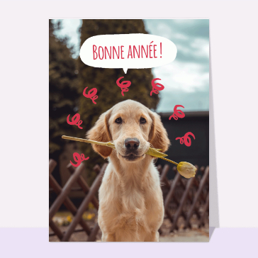 bonne année 2023 et labrador