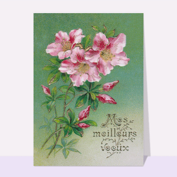 Mes meilleurs voeux fleuris