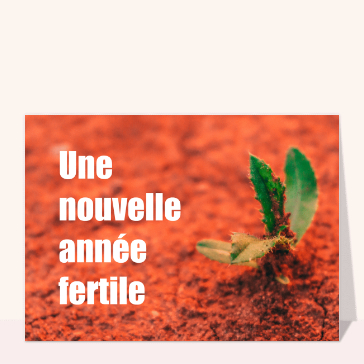 nouvelle année 2024 fertile