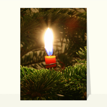 Bougie dans un sapin