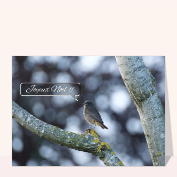 Joyeux Noël du petit oiseau