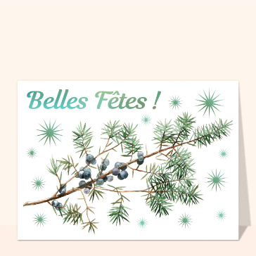 Carte Belles fêtes avec une branche de genévrier