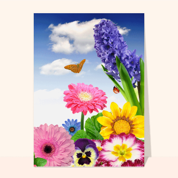 Papillon et coccinelle