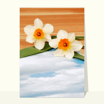 Carte avec des fleurs : Fleurs sur un papier de ciel