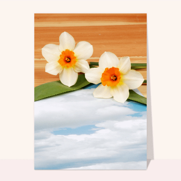 Fleurs sur un papier de ciel