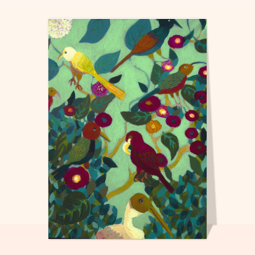 Collection d`oiseaux