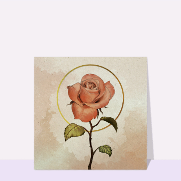 Carte avec des fleurs : Sublime rose