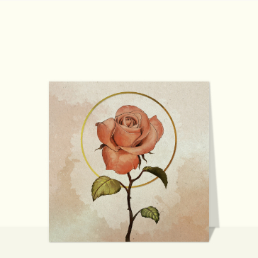 Sublime rose