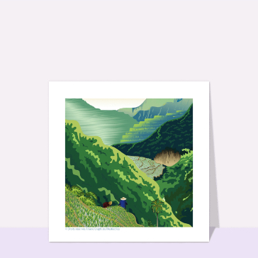 Les rizières d`Ifugao - Philippines