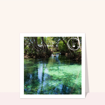 Yucatan au Mexique