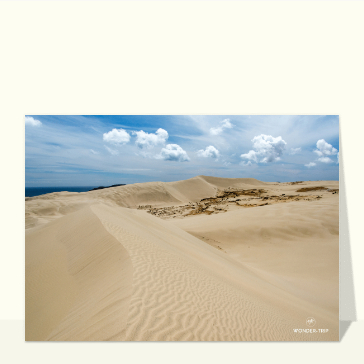Carte postale Nouvelle-Zélande : Les dunes de Te Paki en Nouvelle-Zélande