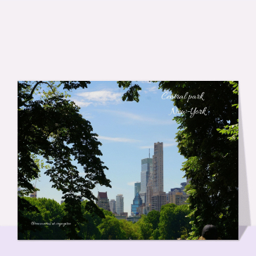 cartes postales de pays : Forêt de Gratte-Ciels contre forêt d`arbres