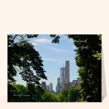 Carte Forêt de Gratte-Ciels contre forêt d`arbres