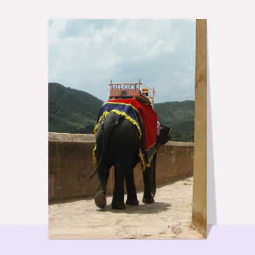 Welcome un élephant en Inde