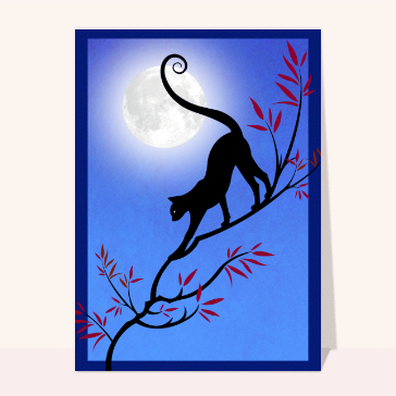 Carte chat et chaton : Chat devant une pleine lune