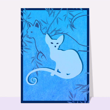 Carte chat et chaton : Chat sur fond bleu