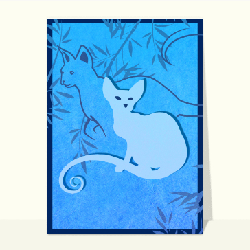 Carte chat et chaton : Chat sur fond bleu