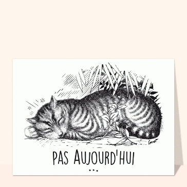 Le chat qui fait la sieste