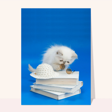 Petit chat et livres
