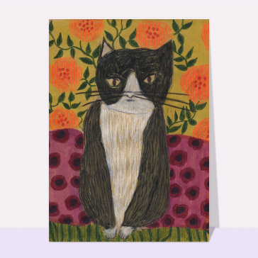 Un chat sage et serein