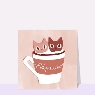Deux petits chats catpuccino