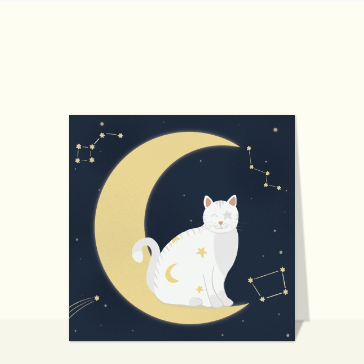Carte chat et chaton : Make a wish avec un chat sur la lune