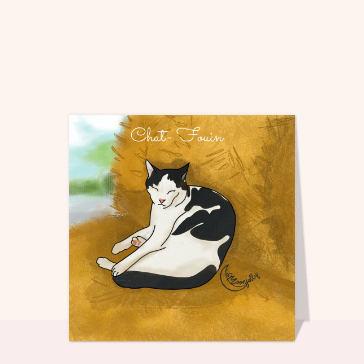 Chat-fouin