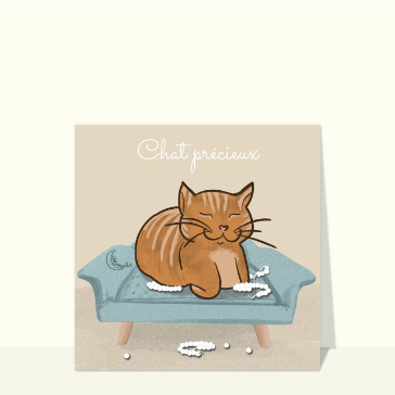 Chat précieux