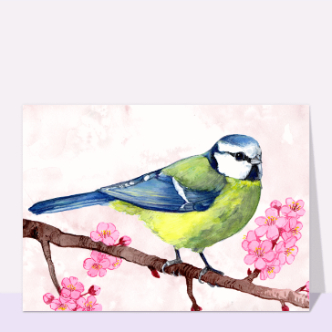 Carte avec un oiseau : Jolie mésange bleue à l`aquarelle