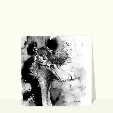 Autruche à la plume et encre de chine